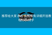  推荐给大家 鼎吉 有挂没有详细开挂教程分享 知乎