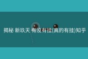  揭秘 新玖天 有没有挂(真的有挂)知乎