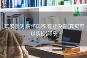  玩家亲测 情怀国粹 有挂没有(真实可以装挂)知乎