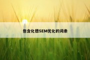 包含化德SEM优化的词条