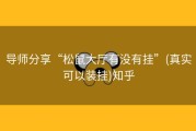 导师分享“松鼠大厅有没有挂”(真实可以装挂)知乎
