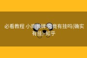  必看教程 小南长牌 究竟有挂吗(确实有挂)-知乎