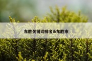 东胜关键词排名&amp;东胜市