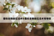 催收老赖施压话术&amp;催收老赖施压话术有哪些