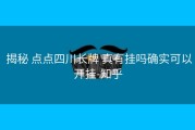 揭秘 点点四川长牌 真有挂吗确实可以开挂-知乎