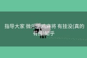  指导大家 微乐宝鸡麻将 有挂没(真的有挂)知乎