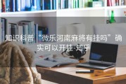 知识科普“微乐河南麻将有挂吗”确实可以开挂-知乎