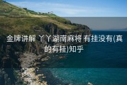  金牌讲解 丫丫湖南麻将 有挂没有(真的有挂)知乎