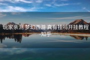  玩家亲测 梦幻西游 真有挂吗开挂教程-知乎