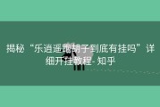 揭秘“乐逍遥跑胡子到底有挂吗”详细开挂教程- 知乎
