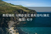  教程辅助 斗棋炸金花 真有挂吗(确实有挂)-知乎