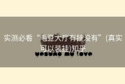 实测必看“毛豆大厅有挂没有”(真实可以装挂)知乎