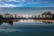  知识科普 爱玩联盟 有挂没(真实可以装挂)知乎
