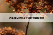 泸溪SEM优化&amp;泸溪融媒官网首页
