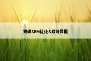双峰SEM优化&amp;双峰数据