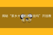 揭秘“家乡大贰到底有挂吗”开挂教程-知乎