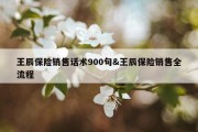 王辰保险销售话术900句&amp;王辰保险销售全流程