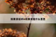 税票贷话术&amp;税票贷是什么意思