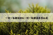 一对一私聊话术&amp;一对一私聊话术怎么说