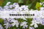 甘德网站收录&amp;甘德是什么家