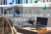 金牌讲解“海胆巨炮是不是有挂”(真实可以装挂)知乎