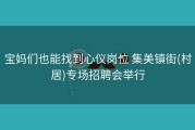 宝妈们也能找到心仪岗位 集美镇街(村居)专场招聘会举行
