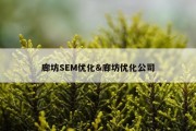 廊坊SEM优化&amp;廊坊优化公司