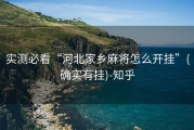 实测必看“河北家乡麻将怎么开挂”(确实有挂)-知乎