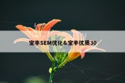 宝丰SEM优化&amp;宝丰优质30