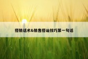 搭销话术&amp;销售搭讪技巧第一句话