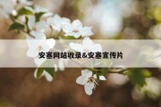 安塞网站收录&amp;安塞宣传片