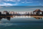 揭秘“新密瓜大厅到底那里有挂”(真实可以装挂)知乎