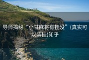 导师揭秘“小甘麻将有挂没”(真实可以装挂)知乎