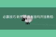  必赢技巧 新荣耀 真有挂吗开挂教程-知乎
