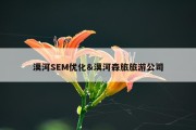 漠河SEM优化&amp;漠河森旅旅游公司