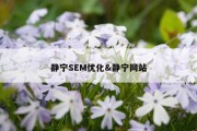 静宁SEM优化&amp;静宁网站