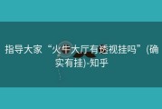 指导大家“火牛大厅有透视挂吗”(确实有挂)-知乎