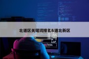 北道区关键词排名&amp;道北新区