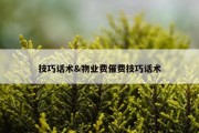 技巧话术&amp;物业费催费技巧话术