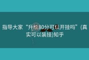 指导大家“升级80分可以开挂吗”(真实可以装挂)知乎