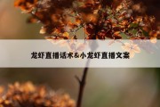 龙虾直播话术&amp;小龙虾直播文案