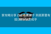  家攻略分享 白金岛跑胡子 到底那里有挂(真的有挂)知乎