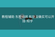  教程辅助 东胜麻将 有挂没确实可以开挂-知乎