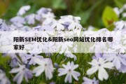 阳新SEM优化&amp;阳新seo网站优化排名哪家好