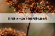 资阳区SEM优化&amp;资阳网站优化公司