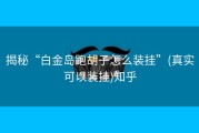 揭秘“白金岛跑胡子怎么装挂”(真实可以装挂)知乎