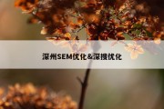 深州SEM优化&amp;深搜优化