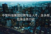 中智科技集团招聘专业人才，含多岗位及业务介绍