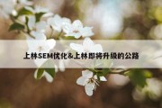 上林SEM优化&amp;上林即将升级的公路