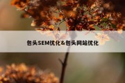 包头SEM优化&amp;包头网站优化